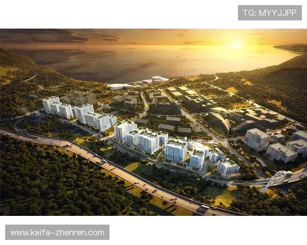 凯发ag线上官方入口官方平台介绍，全面了解平台优势与服务内容