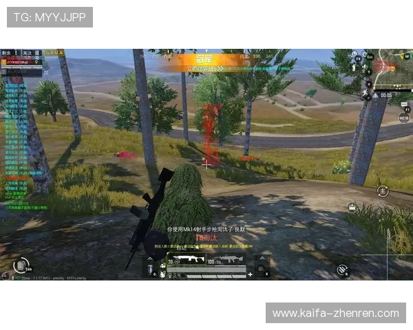 凯发官网平台丰富的游戏种类与高效的客户服务介绍