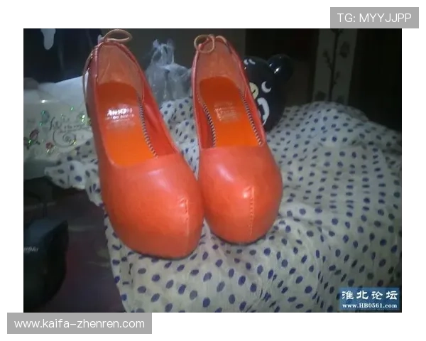 凯发登录首页网址查询常见问题及解决方案全面解析